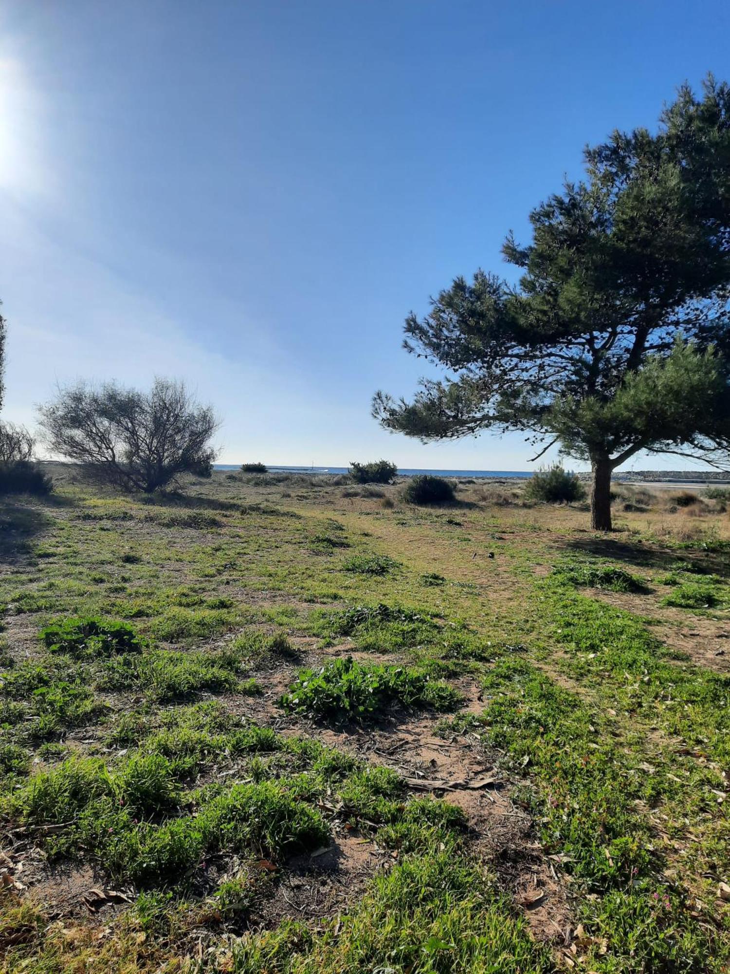Fronte Mare Leilighet Torre San Giovanni Ugento Eksteriør bilde
